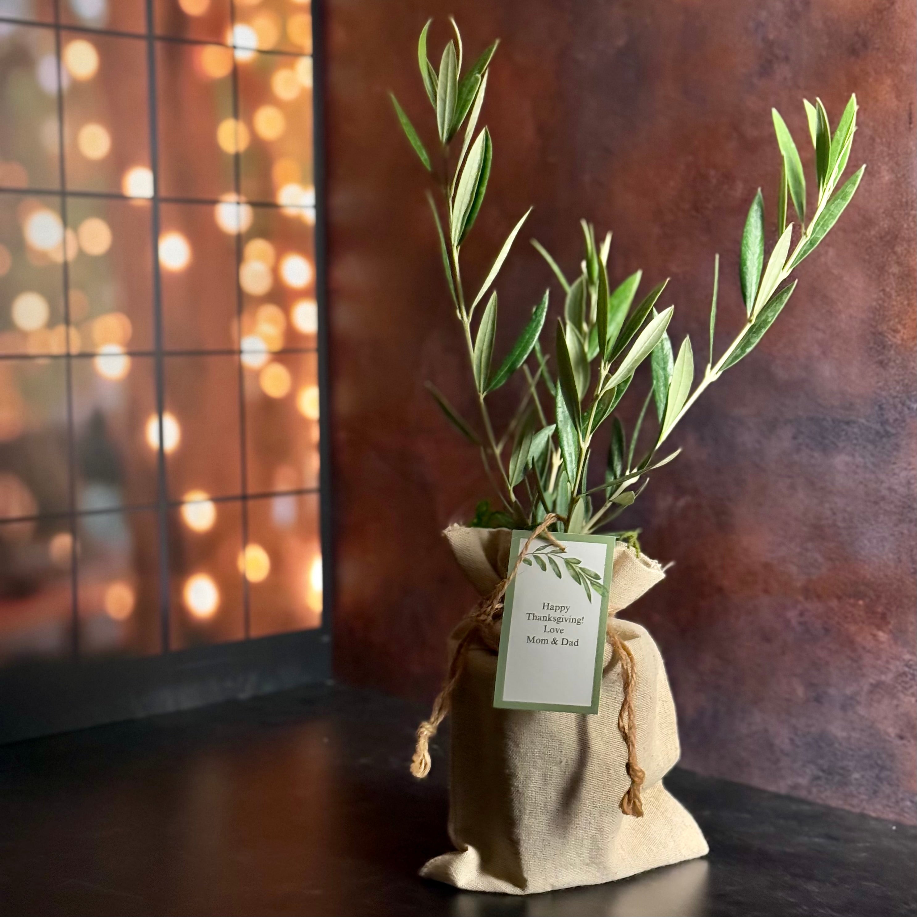 Olive Tree in Linen Burlap Bag