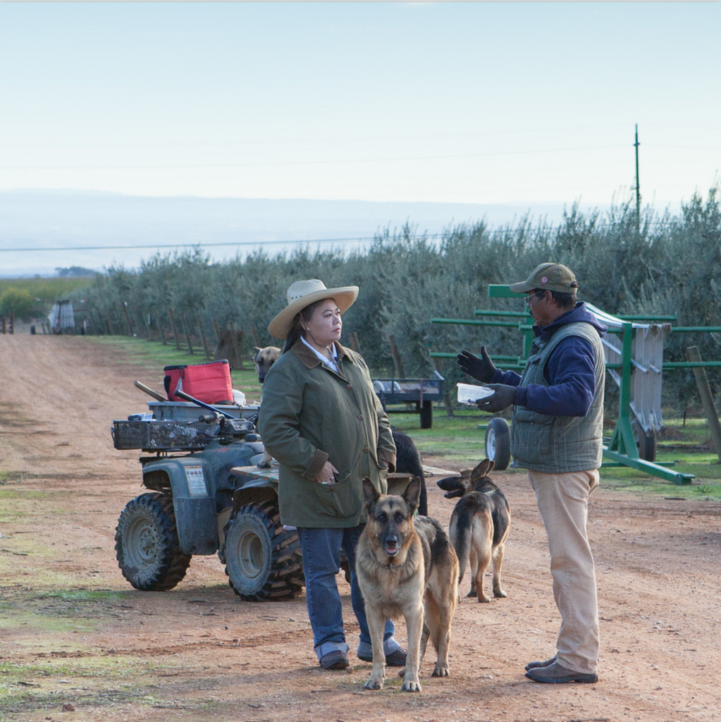 The Ascolano orchard appears behind Liz as she listens to the orchard supervisor talk about the irrigation. His 3 dogs wait patiently nearby.