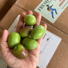 Liz, who has small hands, holds 6 large Sevillano olives
