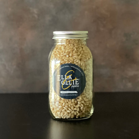 A mason jar of Ella & Ollie White Popcorn is shown on a  simple kitchen counter