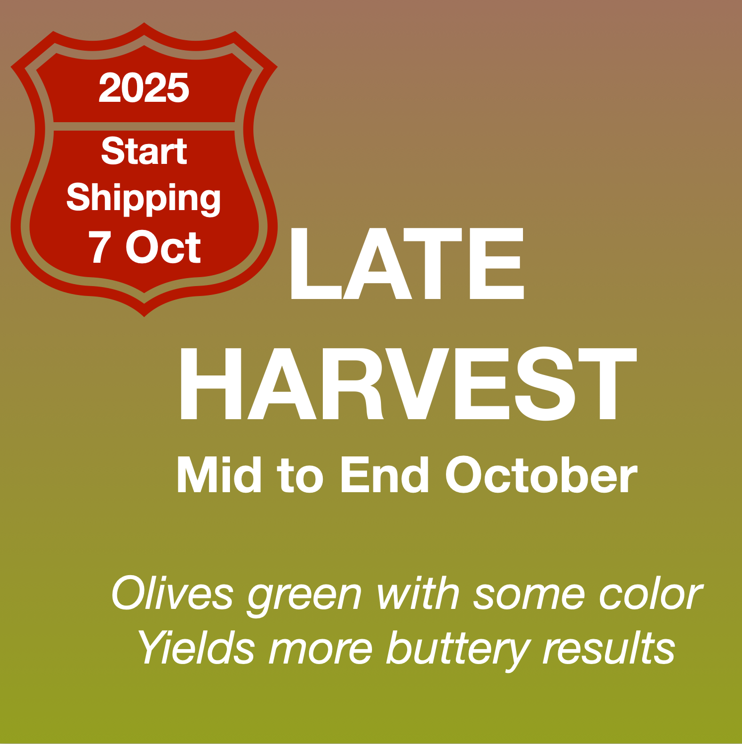 Promotional graphic for late harvest olives with shipping information on a green background.