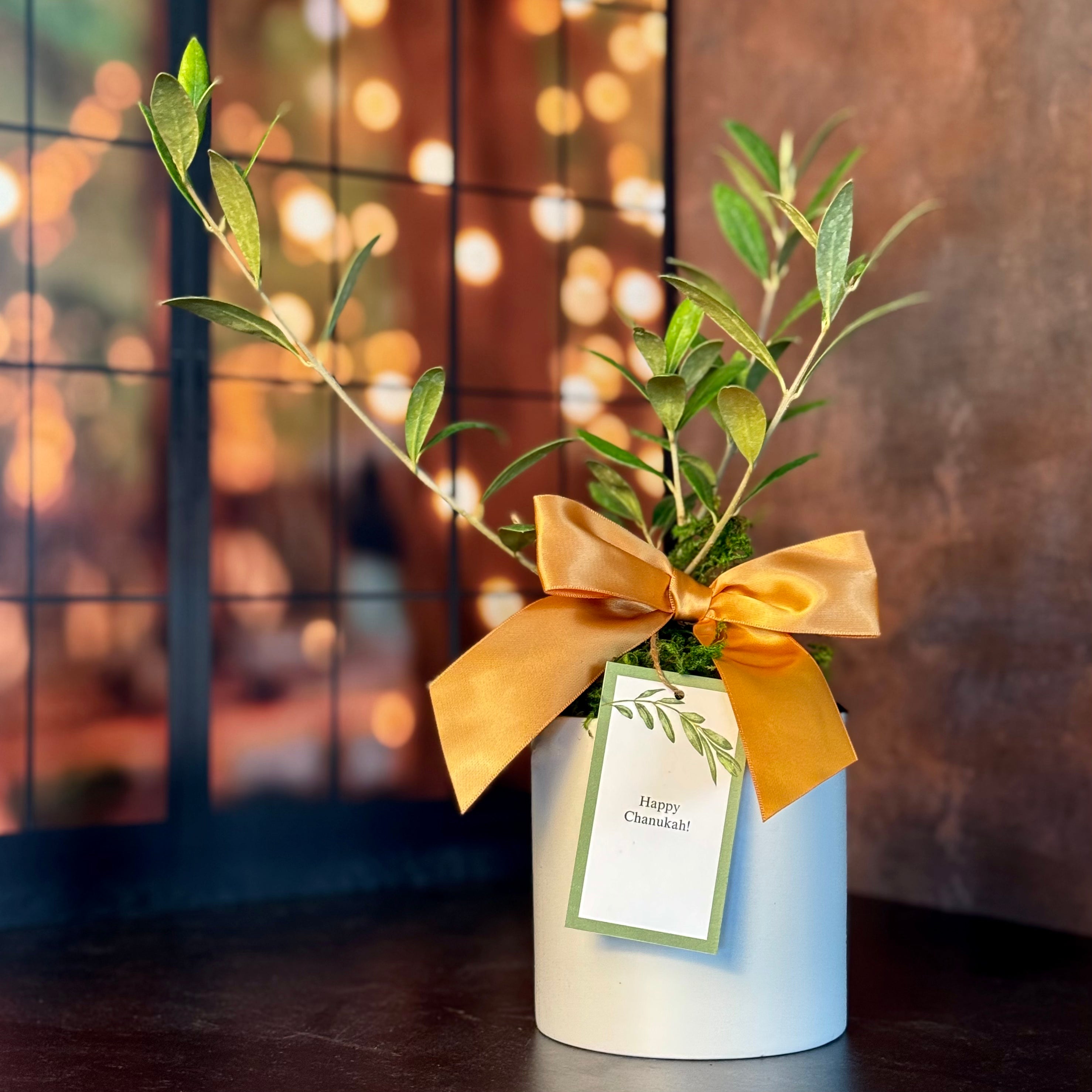 An olive tree in ceramic cachepot is shown with a satin bow and gift tag that says "Happy Chanukah" in a dark room in front of a lighted window.