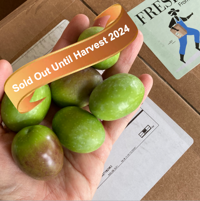 Liz holds six Sevillano olives in her hand, however, a banner interrupts the image declaring she's sold out until Harvest 2024