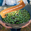 A banner reading "sold out until harvest 2024" is placed over a bucket of olives.