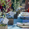 This shows a line up of olive trees at the center of a table with place settings on either side