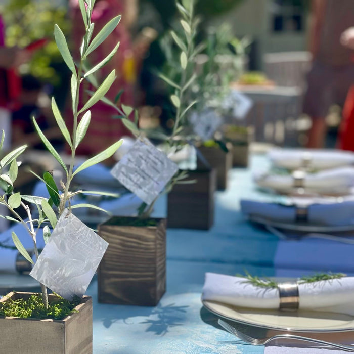 This shows a line up of olive trees at the center of a table with place settings on either side
