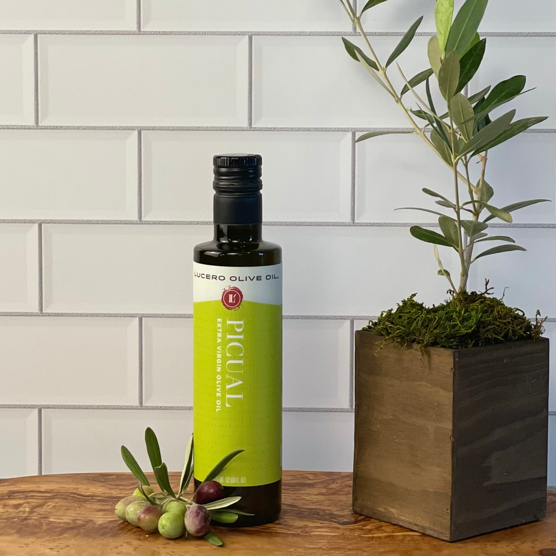 A bottle of Picual shown with real Picual olives near a small olive tree in planter.