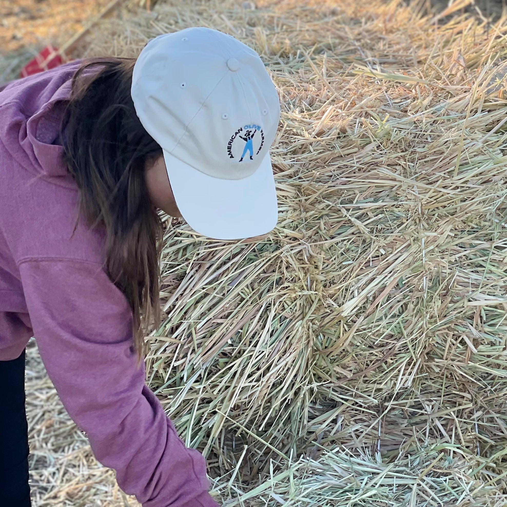 Little girl wearing Khaki American Olive Farmer hat reaches down to gather a handful of hay for her pet ram.