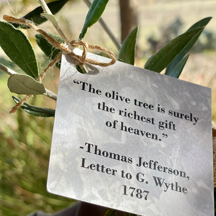 A close up of the tag with the Jefferson quote