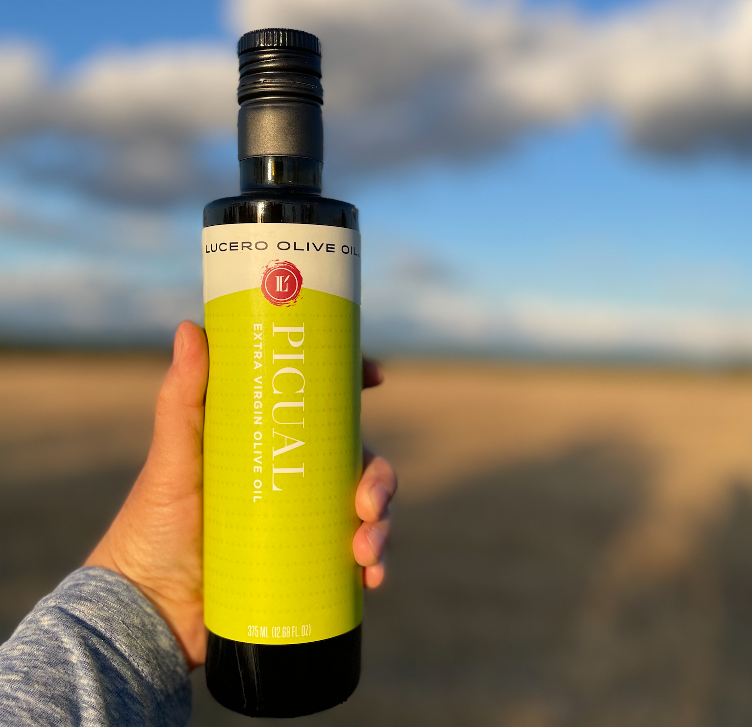 Liz holds a bottle of Picual at arm's length to capture its design with the golden light of dusk in front of a dry-farmed pasture.