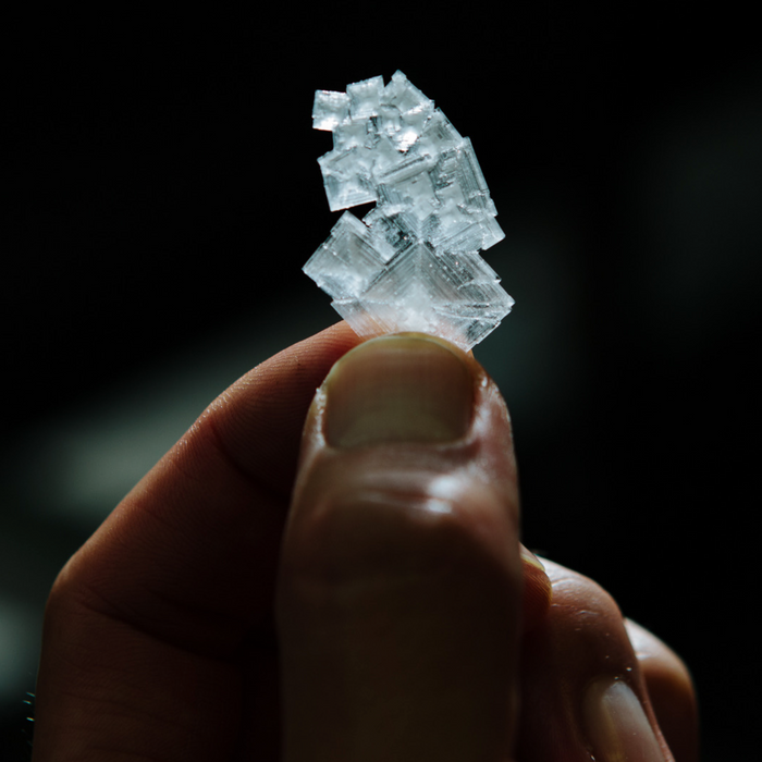 Close up image of salt maker Ben Jacobsen's hand holding a cluster of pyramid salt crystals up to the light