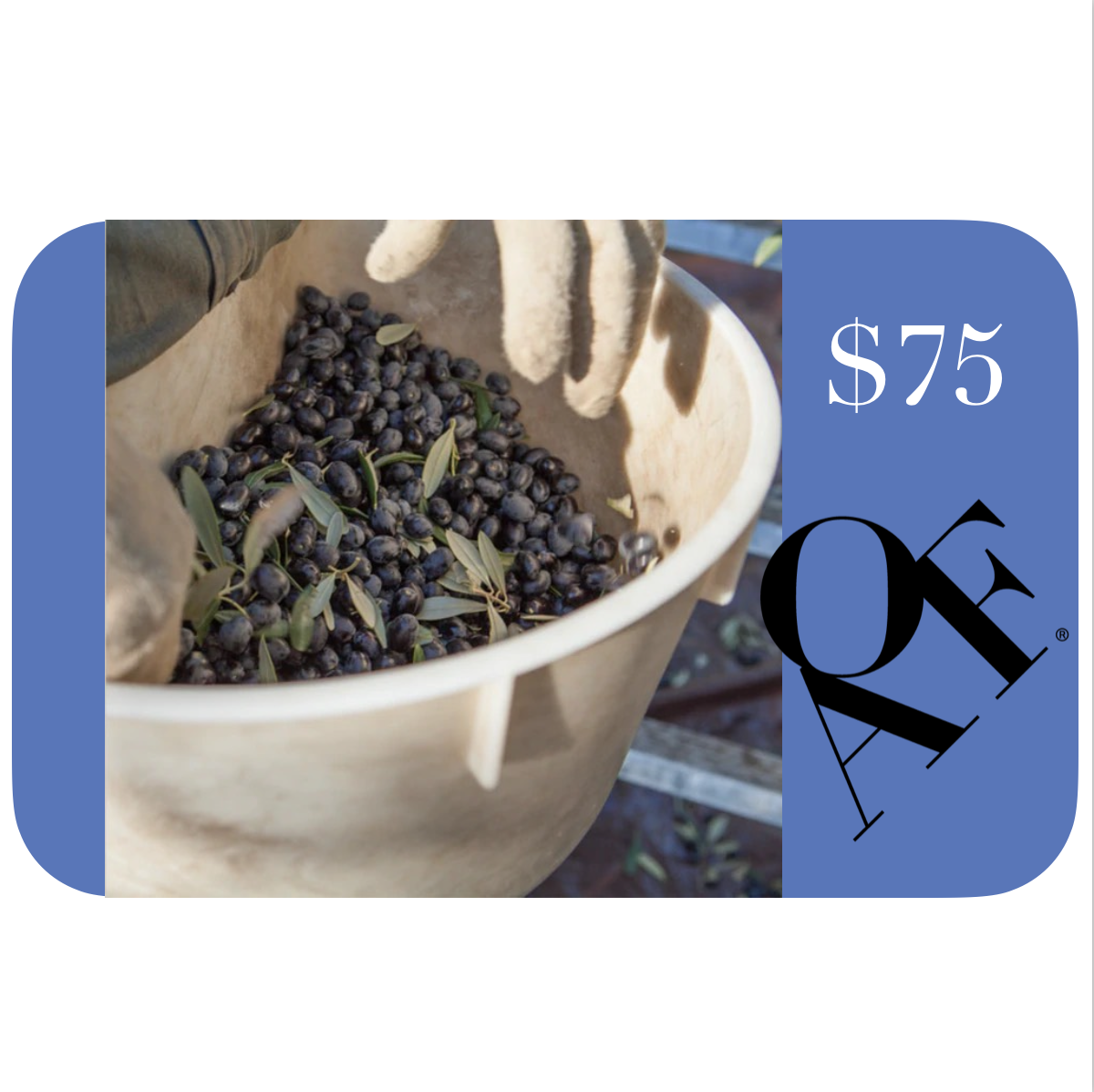 This card reads $75 with a bold AOF and a close up of a picking basket full of olives.