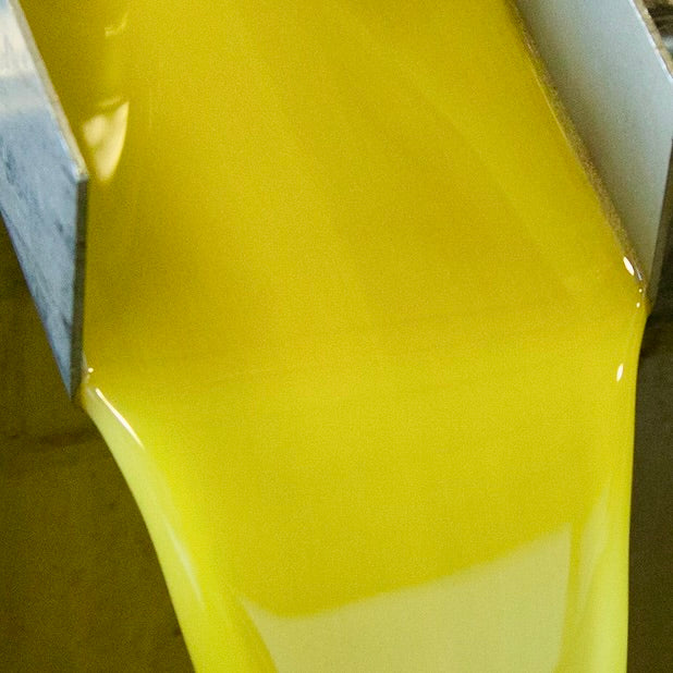 Bright opaque golden-orange olive oil, freshly milled, flows from the decanter into a holding tank.